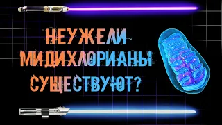 Мидихлорианы - реальность? Всё о мидихлорианах. STAR WARS.