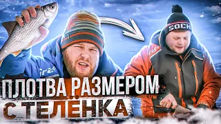 ПЛОТВА РАЗМЕРОМ С ТЕЛЁНКА