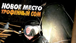 Новое место. Трофейный сом