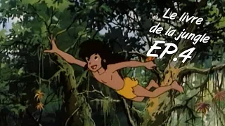 LA LOI DE LA JUNGLE - Le Livre de la Jungle ép. 4 - VF