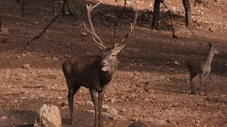 Viaje al Parque Natural de las Sierras de Cazorla, Segura y Las Villas