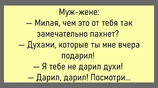 🔥Девушка Останавливает Такси...Большой Сборник Смешных Анекдотов,Для Хорошего Настроения!