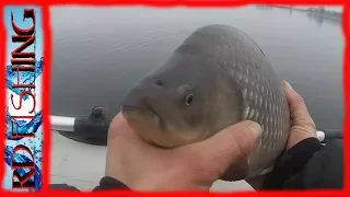 рыбалка.такого вы ЕЩЕ НЕ ВИДЕЛИ!просто ОГРОМНЫЙ КАРАСЬ.you did not YET SEE!ENORMOUS European CARP!!