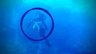 I witnessed a shark attack while diving