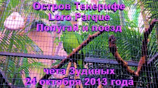 ТЕНЕРИФЕ LORO PARQUE ПОПУГАЙ И ПОЕЗД 24 ОКТЯБРЯ 2013 ГОДА ЧЕТА ЗУДИНЫХ