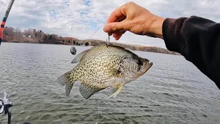 Kiss This Crappie Goodbye