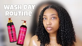 WASH DAY ROUTINE | MIELLE ORGANICS | POMEGRANATE AND HONEY | MAX MOISTURE