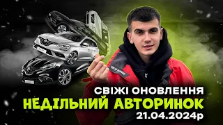 НЕДІЛЬНИЙ АВТОРИНОК! СВІЖІ ОНОВЛЕННЯ! ЛУЦЬК!