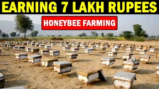 Honey Bee Farming | Beekeeping Farming (Apiculture)