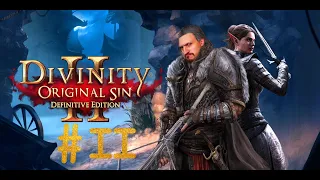 ЛЕГОЛАС ПОЗАВИДУЕТ || Divinity Original Sin 2 - Definitive Edition #2