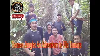 Borneo Jungle: An Adventure to Ulu Temaru part 1