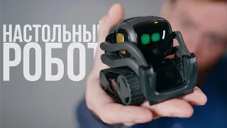 Самый классный настольный робот. 🤖/ Обзор Vector от Anki.