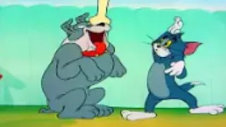 Tom & Jerry - The Framed Cat - Classic Cartoon for kids