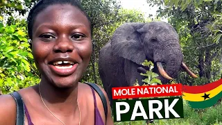 Mole National Park Ghana. The LARGEST  ANIMAL WILDLIFE PARK in Ghana