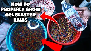 The Fastest & Easiest Way to Properly Grow Gel Blaster Balls/Ammo