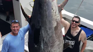 960 Pound Giant Bluefin Tuna