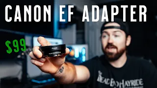 Canon EF/RF Adapter: All Your Questions Answered!