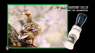 Buck Gardner Calls - Spitfire Duck Call