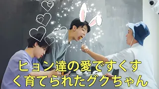 【BTS 日本語字幕】ヒョン達の愛ですくすく育てられたグクちゃん