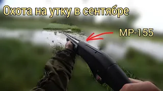 💥охота на утку🦆 с мр-155