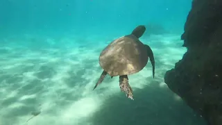 Kauai Snorkeling 2022-4K