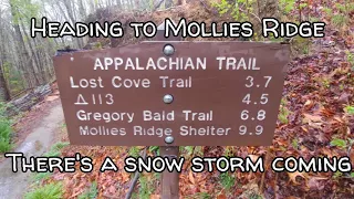 Day 20 on the Appalachian Trail, Hello Tennessee & the Smokies!!