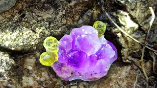 Easy way to get purple diamond. Earth's crust changes and rocks tumble, golden crystals appear