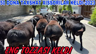 ☎️90-581-97-97☎️91-650-22-99 TOZZA XISORI QOCHQORLAR KELDI SHOSHLING