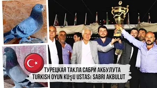 Takla pigeons | Голуби турецкая такла | Turkish oyun kuşu ustasi Sabri Akbulut | güvercinleri