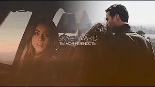 skye & ward | ты моя нежность