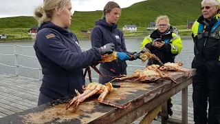 Norway north cap experience king crab