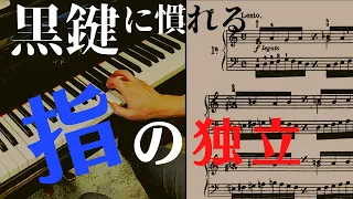 【ピアノ中・上級者教材】全調で指を超鍛えるピシュナ＆リトルピシュナ練習曲【究極の指トレ】