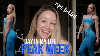 Bikini Bodybuilder PEAK WEEK Vlog Pt. 2 | Prep Files