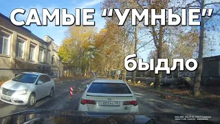 Подборка САМЫХ "УМНЫХ" водителей #765