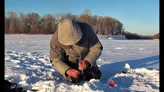 БАГОР РАЗОГНУЛО!!! ГОЛОВУ ОТОРВЕМ СЕЙЧАС. Рыбалка на комбайны. Килограммовые окуни. Крупный окунь.