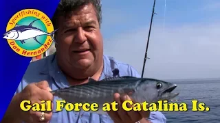 Gail Force Fishing At Catalina Island | SPORT FISHING