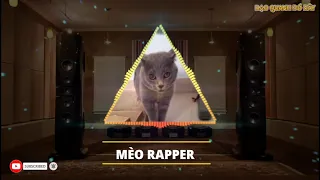 MÈO RAPPER REMIX | Con Mèo Hát nghe cực hay | The Cat sings a great song | The Rapper Cat