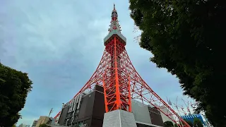 Live Tokyo Walk - Shibuya To Roppongi To Tokyo Tower 🗼