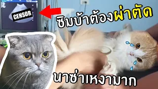 [ENG SUB] Zimba Got Surgerry. Naza was so Lonely!