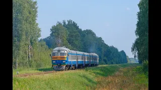 Дизель поезд ДР1А-295 на о.п. Дубно / DMU DR1А-295P at the Dubna stop.