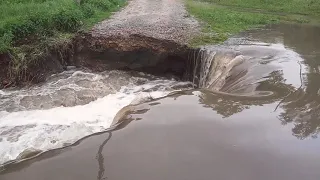 Кутки 19.05.2019