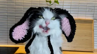 Crocheted Bunny Hat For Cats