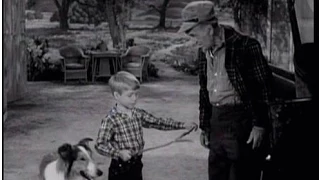 Lassie - Episode #191 - "Water Boy" - Season 6 Ep. 9 - 11/01/1959