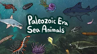 Paleozoic Sea Animals | What kind of sea animals lived in Paleozoic Era? | Kids Draw