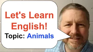 Let's Learn English | Topic: Animals | #learnenglish | 🐭 🐹 🐰 🐶