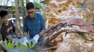 Can Doc Nielsen Donato save a snake that suffered after being trapped in a net? | Born to be Wild