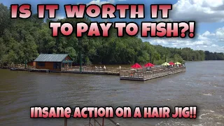 Is It Worth It To Pay To Fish?! (Insane Hair jig Action!!)