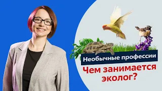 Экология из первых уст. Что на самом деле делают экологи?