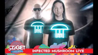 Infected Mushroom - Fields Of Grey (Riot Remix) @Live from Sziget Festival 2015 [HQ Audio]