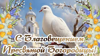 С Благовещением🕊️